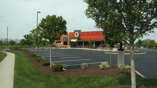 Buffalo Wings & Rings